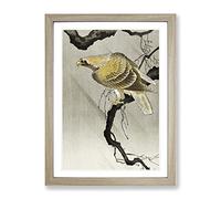 Eagle In The Tree By Ohara Koson Asian Japanese Framed Print | A4 Oak Framed Wall Art | Ready to Hang | Asian Floral Picture | Living Room Bedroom Lounge Office