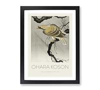 Eagle In The Tree By Ohara Koson Exhibition Museum Asian Japanese Framed Print | A3 Black Framed Wall Art | Ready to Hang | Asian Floral Picture | Living Room Bedroom Lounge Office