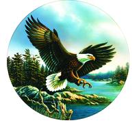Eagle Landing