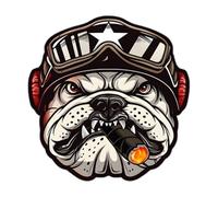 Eagle Motorbike Stickers - 2 Retro Motorcycle Stickers | Creative Scratch Car Stickers | Motorbike Helmet Stickers | Decorative Cartoon Decals for Motorcycle Skateboard Laptop