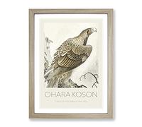 Eagle On A Tree Branch By Ohara Koson Exhibition Museum Asian Japanese Framed Wall Art Print, Ready to Hang Picture for Living Room Bedroom Home Office Décor, Oak A2 (64 x 46 cm)