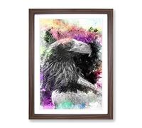 Eagle Portrait In Abstract Modern Framed Wall Art Print, Ready to Hang Picture for Living Room Bedroom Home Office Décor, Walnut A4 (34 x 25 cm)