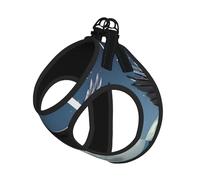 Eagle Under The Stars Print Soft Pet Harness and Leash Set, Adjustable Mesh Puppy Vest Harness for Small Small Large Dogs and Cats