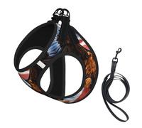 Eagle with USA Flag print Dog Harness, 2X Buckle,Dog Vest,No Pulling Front Leash Clip,for Small Medium Dogs