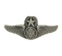 EagleEmblems P12641 Wing-USAF Aircrew Master (Mini) (1.25'')