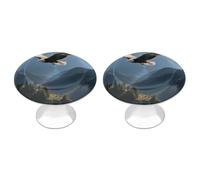 Eagles Fly in The Valley Drawer Pulls Round Cabinet Knobs Modern Stainless Steel Door Handle Sturdy Cabinet Handles Closet Door Pulls Drawer Knobs for Most Furniture Pull 2pcs
