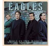 Eagles: Hole in the World [DVD] [2003] [DVD AUDIO]