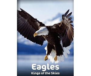 Eagles - Kings of the Skies