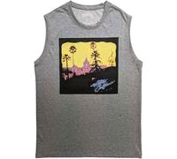 Eagles Tank Top Muscle T Shirt Hotel California Logo Official Unisex Grey