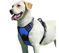 Eagloo Dog Harness Large Dog, No Pull Adjustable Vest with 2 Lead Clips | No Choke, Breathable Soft Padded, Reflective Strips, with Secure Buckles & Easy Control Handle for Walks , L, Dazzling Blue