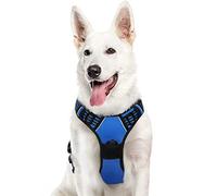 Eagloo Dog Harness Large Dog, No Pull Adjustable Vest with 2 Lead Clips | No Choke, Breathable Soft Padded, Reflective Strips, with Secure Buckles & Easy Control Handle for Walks , XL, Dazzling Blue