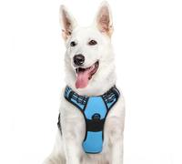 Eagloo Dog Harness Large Dog, No Pull Harness with Front Back Clips, Adjustable Pet Walking Vest, Soft Padded Pet Vest, Reflective No-Choke Breathable with Easy Control Handle, Sky Blue, XL