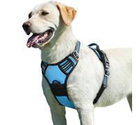 Eagloo Dog Harness Large Dog, No Pull Harness with Front Back Clips, Adjustable Pet Walking Vest, Soft Padded Pet Vest, Reflective No-Choke Breathable with Easy Control Handle, Sky Blue, L
