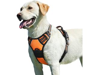 Eagloo Dog Harness Large Dog, No Pull Harness with Front Back Clips, Adjustable Pet Walking Vest, Soft Padded Pet Vest, Reflective No-Choke Breathable with Easy Control Handle, Orange, L