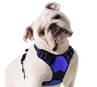 Eagloo Dog Harness Medium, No Pull Adjustable Vest with 2 Lead Clips | No Choke, Breathable Soft Padded, Reflective Strips, with Secure Buckles & Easy Control Handle for Walks , M, Dazzling Blue