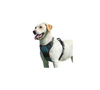Eagloo No-Pull Front Clip Dog Harness for Large Dogs, Adjustable, Breathable, Soft Padded Vest with Reflective Strips (HCW-033-L-EU)
