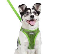 Eagloo Small Dog Harness & Lead, Easy to Wear, Breathable Mesh Puppy Vest | Step-in, Lightweight & Durable, Escape-Proof with Secure Buckle, Reflective Strips for Safe Night Walking, Green, Large