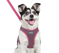 Eagloo Small Dog Harness & Lead, Easy to Wear, Breathable Mesh Puppy Vest | Step-in, Lightweight & Durable, Escape-Proof with Secure Buckle, Reflective Strips for Safe Night Walking, Rose Red, Large