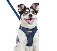 Eagloo Small Dog Harness & Lead, Easy to Wear, Breathable Mesh Puppy Vest | Step-in, Lightweight & Durable, Escape-Proof with Secure Buckle, Reflective Strips for Safe Night Walking, Navy, Large