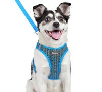Eagloo Small Dog Harness & Lead, Easy to Wear, Breathable Mesh Puppy Vest | Step-in, Lightweight & Durable, Escape-Proof with Secure Buckle, Reflective Strips for Safe Night Walking, Blue, Large