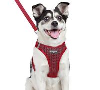 Eagloo Small Dog Harness & Lead, Easy to Wear, Breathable Mesh Puppy Vest | Step-in, Lightweight & Durable, Escape-Proof with Secure Buckle, Reflective Strips for Safe Night Walking, Red, Large