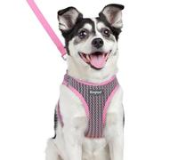 Eagloo Small Dog Harness & Lead, Easy to Wear, Breathable Mesh Puppy Vest | Step-in, Lightweight & Durable, Escape-Proof with Secure Buckle, Reflective Strips for Safe Night Walking, Pink, Large