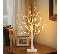 EAMBRITE Christmas Twig Tree Lighted Birch Tree Battery Powered Tabletop Tree Decorations for Home Mantle Party Christmas Decorations (22 Inch)
