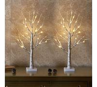 EAMBRITE Small Christmas Twig Tree With Lights Christmas Table Decorations
