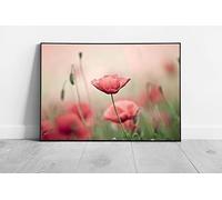 EAPoster Large Pink poppy wild Flower meadow field art Poppies Ready to Hang Wall Art Print Framed Picture print Brown Frame 20x16In (51x41cm)