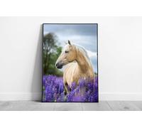 EAPoster Palomino Horse In Lavender Field Wall Art Print on Paper Framed Picture print Black Frame A3 (42x30cm)
