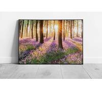EAPoster Sunrise Shining Through Tall Trees Of Majestic Fairy-tale Bluebell Forest Woodland Wall Art Print on Paper print A2 Print Only (59x42cm)