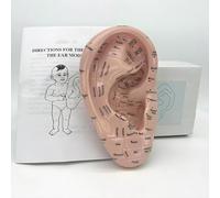 Ear Acupuncture Model - 17cm Ear Zone Acupressure Points Model, Ear Massage Model, Display Laboratory Supplies, Ear Acupoints Pressure Point Learning
