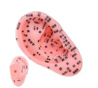 Ear Reflection Zone Model - Portable Ear Massage Zone Model | Anatomy Reflex Zone Learning Model, Ornament Ornament Class Props Teaching Assistance for Living Room and Living Room