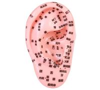 Ear Seeds Acupuncture Kit, PVC Elastic Ear Model with Clear Acupoint Engraving, Intuitive & Precise Anatomical Model for Acupuncture, Hospital, School