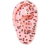 Ear Seeds Acupuncture Kit, PVC Elastic Ear Model with Clear Acupoint Engraving, Intuitive & Precise for Acupuncture, Hospital, School Model