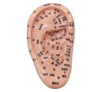 Ear Seeds Acupuncture Kit Soft Ear Seeding Kit Including 5.1 Inch Model Picture for Kids Learning