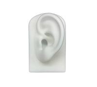 Ear Silicone Model Practice Body Piercing Teaching Tool Earring for Jewelry Display Can Be Reused 1:1 Simulation Human Simulation Ears Model