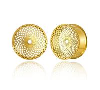 Earblity 2 PCS Gauge Earrings Gold Spiral Pattern 7/8" 22mm gauges for ears Hypoallergenic 316 Stainless Steel Ear Plugs Tunnels for Ears Expander Body Jewelry