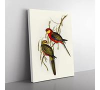Earl Of Derby'S Parakeet Birds By Elizabeth Gould Vintage Canvas Wall Art Print Ready to Hang, Framed Picture for Living Room Bedroom Home Office Décor, 50x35 cm (20x14 Inch)
