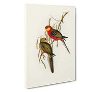 Earl of Derby's Parakeets by Elizabeth Gould Canvas Print | Gallery Wrapped 30mm Frame Wall Art | 30x20 inches | Ready to Hang | Modern Bird Picture | Living Room Bedroom Lounge Office