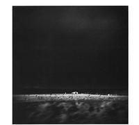 Early Day Miners - Placer Found [VINYL]