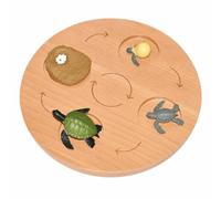 Early Education Life Cycle Board | Hands-on, Interactive, Sequencing Board, for Playroom, Style B