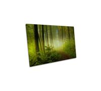 Early Fall Forest Misty Landscape Green Canvas Wall Art Picture Print CanvasGeeks Green W36 inch x H24 inch x D40mm