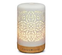 Earnest Living Essential Oil Diffuser for Home White Ceramic Aromatherapy Diffuser 100ml Timers Night Lights and Auto Off Function Essential Oils for