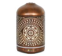 Earnest Living Essential Oil Diffuser Metal Diffuser 250 ml Timers Night Lights and Auto Off Function Home Office Humidifier Aromatherapy Diffusers for Essential Oils