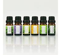 Earnest Living Tea Tree Peppermint Lavender Essential Oil Set for Diffusers for Home Oil Diffuser Essential Oils Eucalyptus Essential Oil