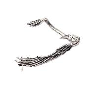 Earring Hoop,Nose Lip Rings,Stud Earrings,Women Earrings, European and American Fashion Gothic Punk Black Crow Earrings Festival Fashion accessories