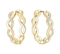 Earringfor Women Lightweight Twisted Hoop Jewelry presents