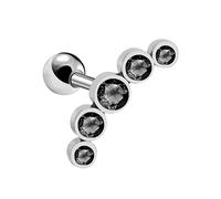 Earrings for Women Thick Rod Ear Pin Five Small Earrings High Grade Green Leaf Silver (Black, One Size)