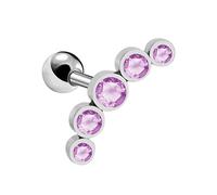 Earrings for Women Thick Rod Ear Pin Five Small Earrings High Grade Green Leaf Silver (Purple, One Size)